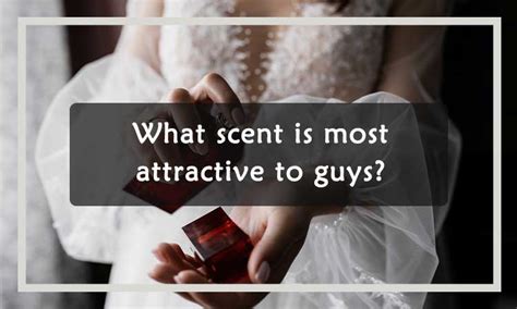 What scent is most attractive to guys?